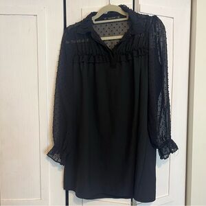 Zara Long Sleeve Mini Dress